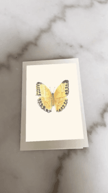 BUTTERFLY A04