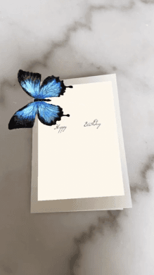 BUTTERFLY A01