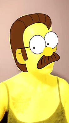 ✦ Ned Flanders
