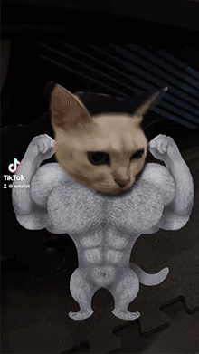 Muscle Pets