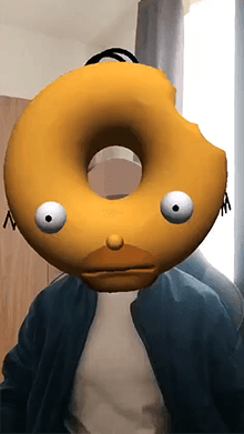 Homer Donut Head
