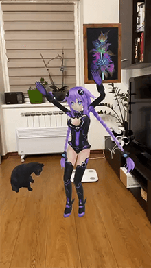 Cat & Anime