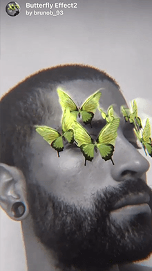 Butterfly Effect2