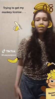 The Banana Monkey Game