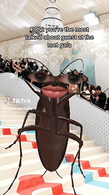 met gala cockroach