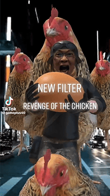 Chicken Revenge