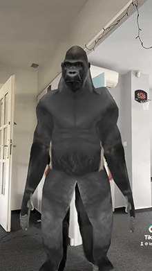 Gorilla Body