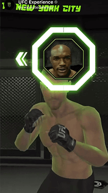 UFC Experience
