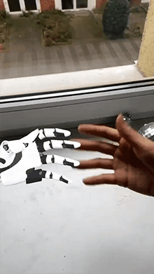 Robo Hand