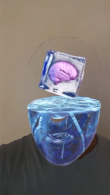 Frozen Brain