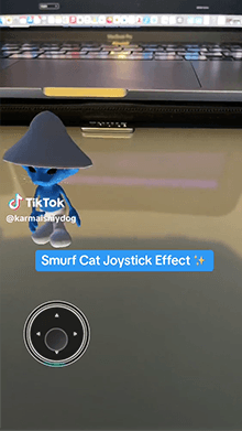 Smurf Cat AR