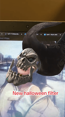 Halloween pirate skull