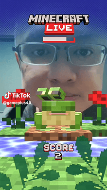 Minecraft Frog Game