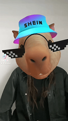 SHEIN x Capybara Filter