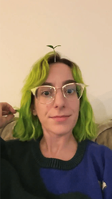 sprout head